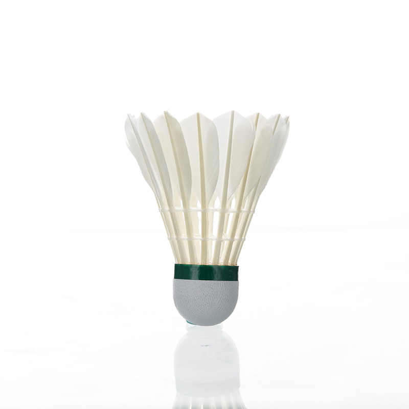 Kawasaki Feather shuttleck 8E  - Badminton Center reseña y precio